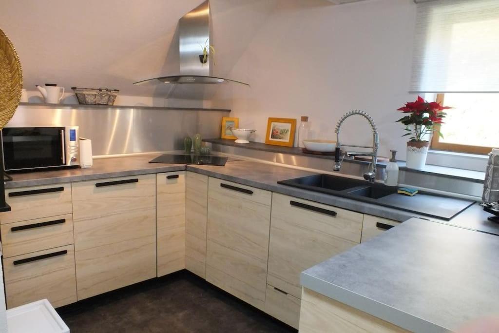 Un Coin De Montagne Apartment Linthal Ngoại thất bức ảnh